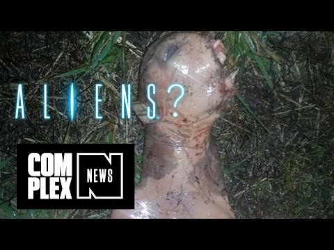 UFO Sighting California Mysterious Creature Found